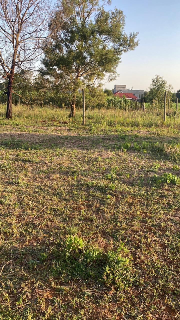 Quarter-Acre Plot in Sunview Estate, Kipkorgot — Eldoret