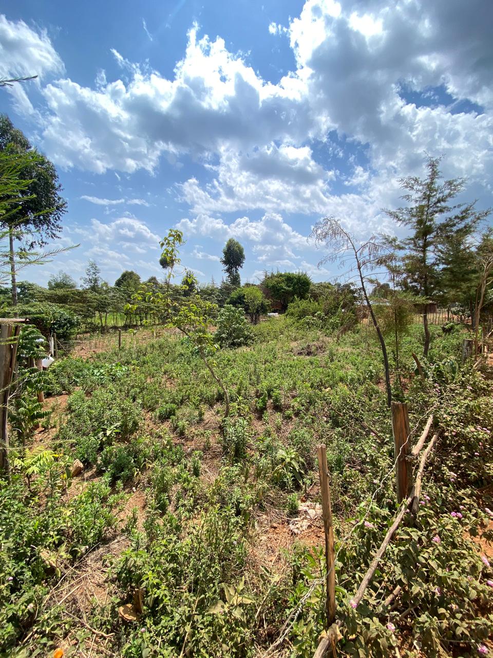 1 Point Plot — Residential in Kapseret, Eldoret — near Aturei