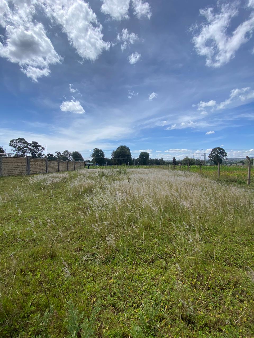 Quarter-Acre Plot — Touching Tarmac in Elgon View, Eldoret